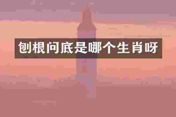 刨根问底是哪个生肖呀