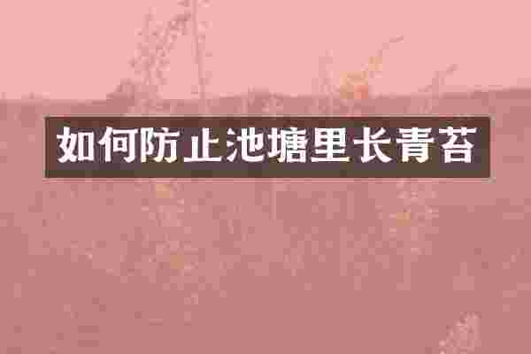 如何防止池塘里长青苔