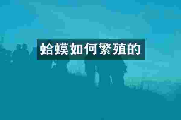 蛤蟆如何繁殖的