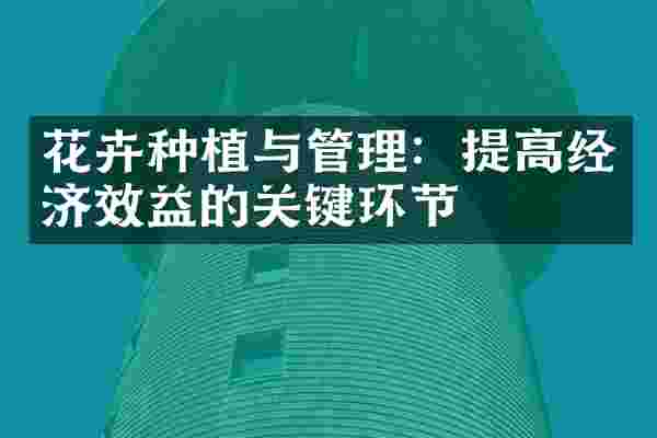 花卉种植与管理：提高经济效益的关键环节