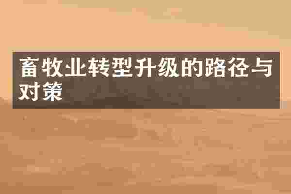 畜牧业转型升级的路径与对策