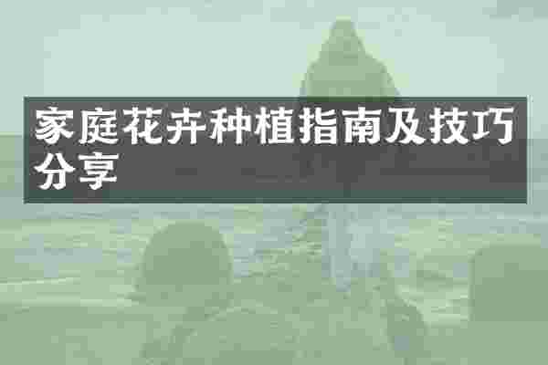 家庭花卉种植指南及技巧分享