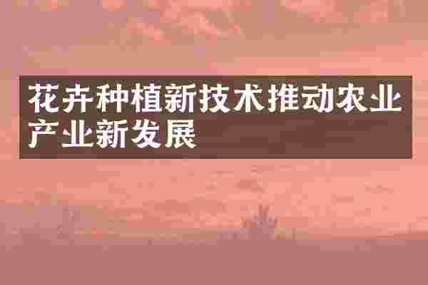 花卉种植新技术推动农业产业新发展