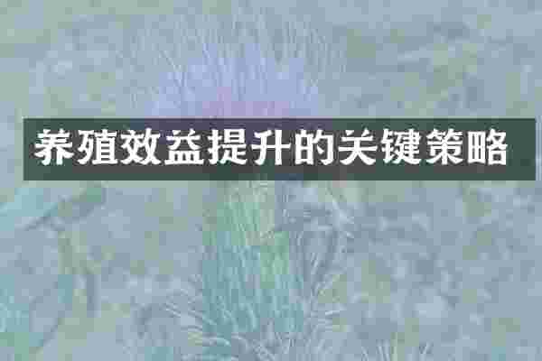 养殖效益提升的关键策略