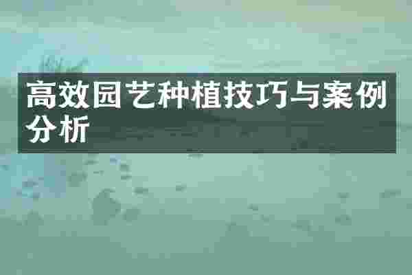 高效园艺种植技巧与案例分析