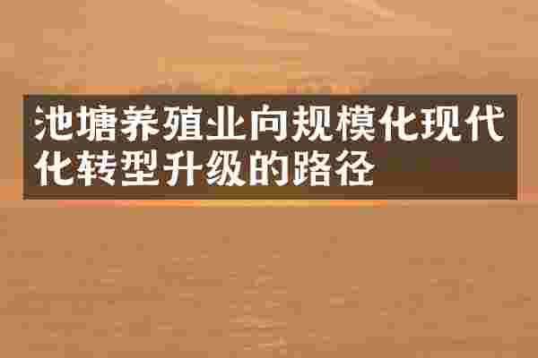 池塘养殖业向规模化现代化转型升级的路径