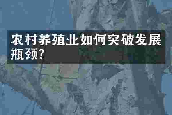 农村养殖业如何突破发展瓶颈？