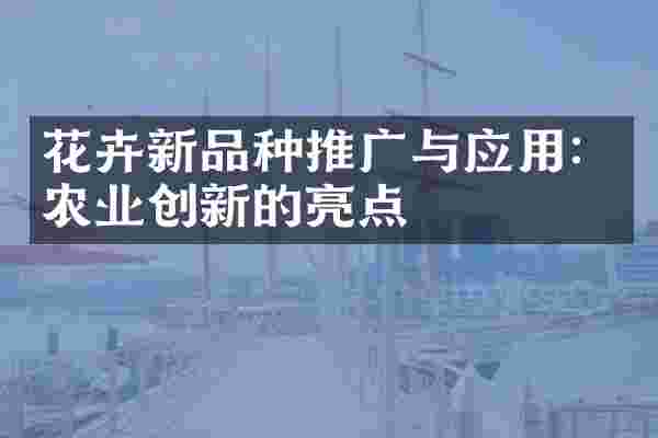花卉新品种推广与应用：农业创新的亮点