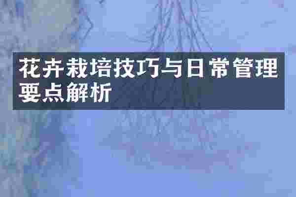 花卉栽培技巧与日常管理要点解析