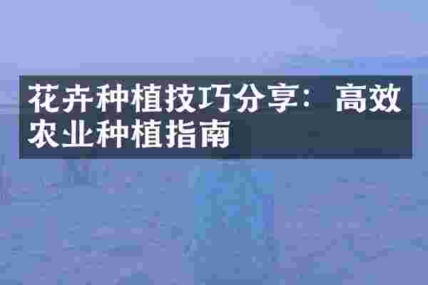 花卉种植技巧分享：高效农业种植指南