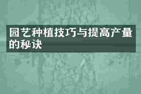 园艺种植技巧与提高产量的秘诀