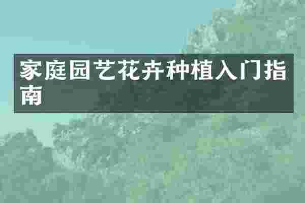 家庭园艺花卉种植入门指南