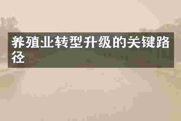 养殖业转型升级的关键路径