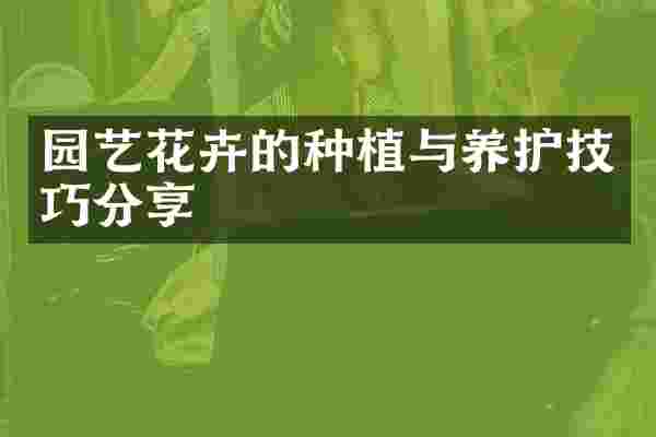 园艺花卉的种植与养护技巧分享