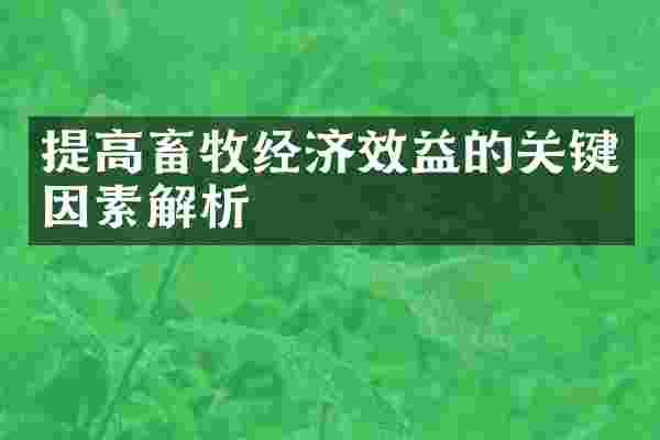 提高畜牧经济效益的关键因素解析
