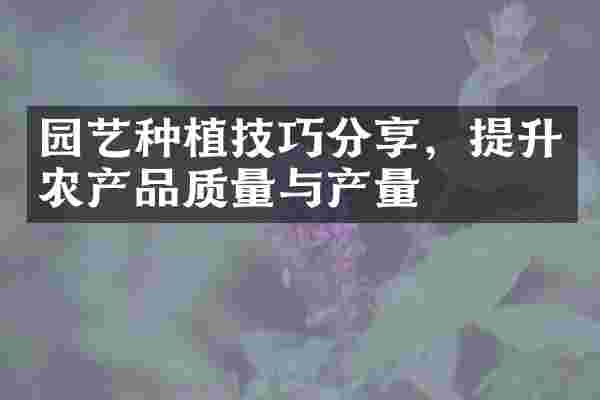 园艺种植技巧分享，提升农产品质量与产量