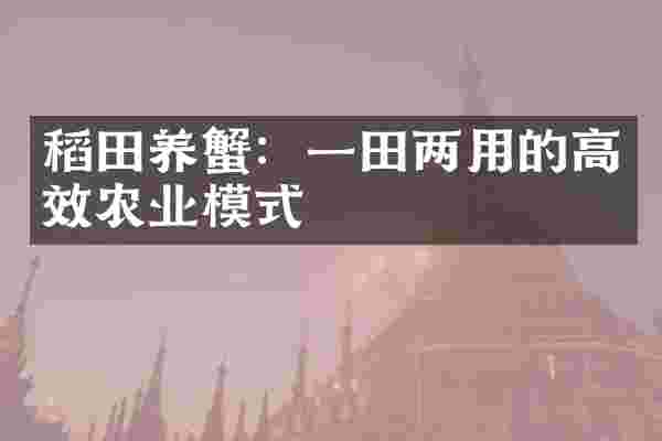 稻田养蟹：一田两用的高效农业模式