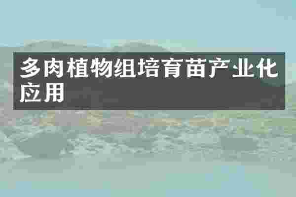 多肉植物组培育苗产业化应用