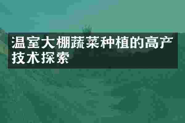 温室大棚蔬菜种植的高产技术探索