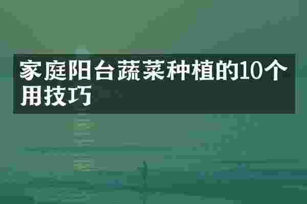 家庭阳台蔬菜种植的10个实用技巧