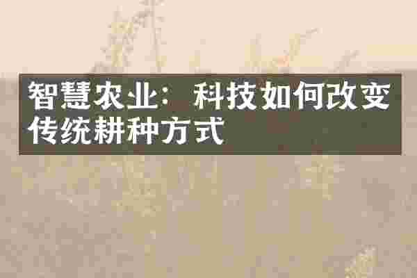 智慧农业：科技如何改变传统耕种方式