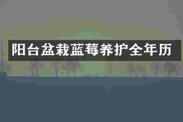 阳台盆栽蓝莓养护全年历