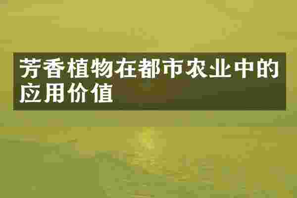芳香植物在都市农业中的应用价值