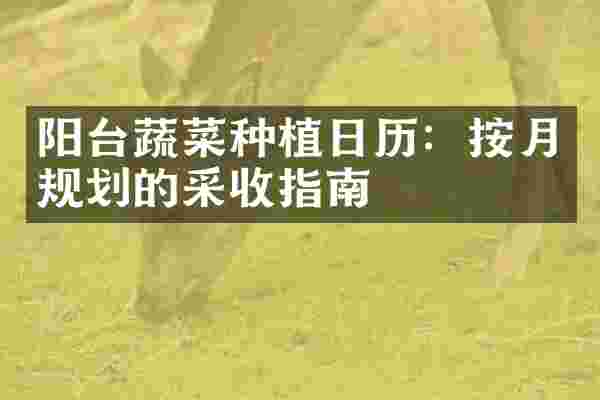 阳台蔬菜种植日历：按月规划的采收指南