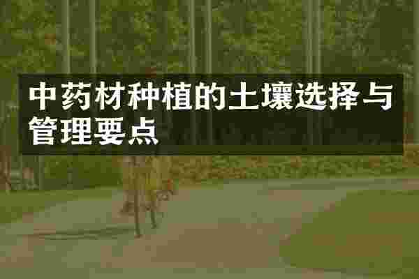 中药材种植的土壤选择与管理要点