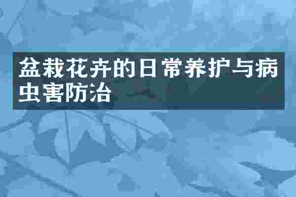 盆栽花卉的日常养护与病虫害防治
