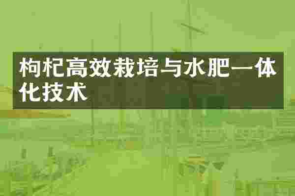 枸杞高效栽培与水肥一体化技术
