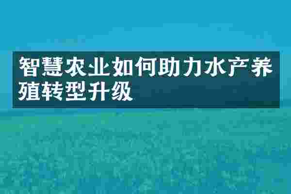 智慧农业如何助力水产养殖转型升级