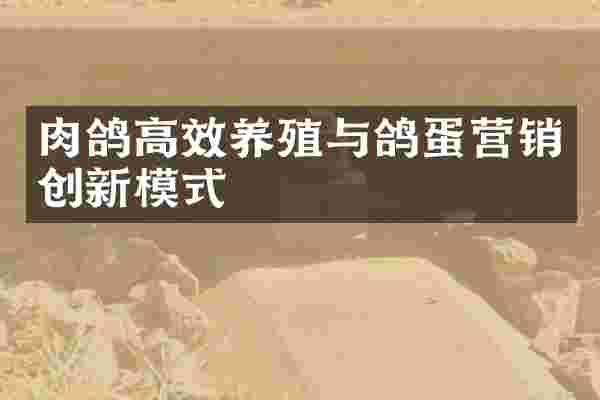 肉鸽高效养殖与鸽蛋营销创新模式