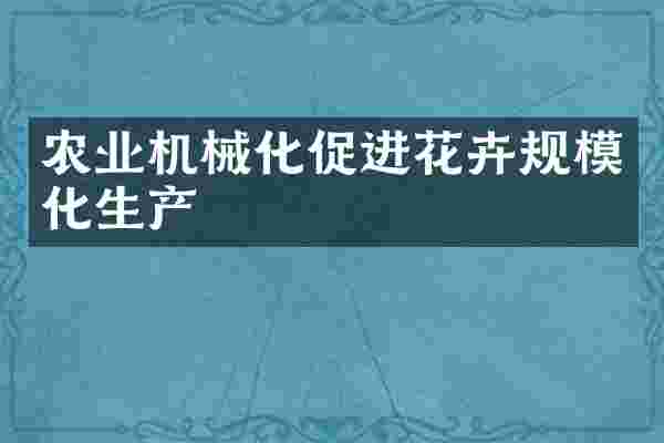 农业机械化促进花卉规模化生产