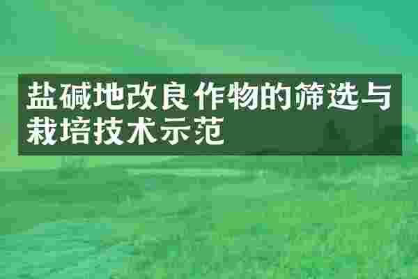 盐碱地改良作物的筛选与栽培技术示范