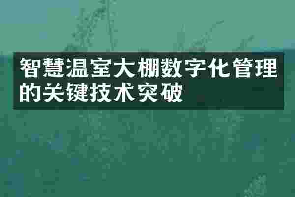 智慧温室大棚数字化管理的关键技术突破