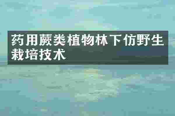药用蕨类植物林下仿野生栽培技术