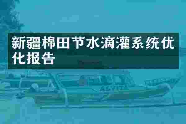 新疆棉田节水滴灌系统优化报告