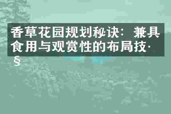 香草花园规划秘诀：兼具食用与观赏性的布局技巧