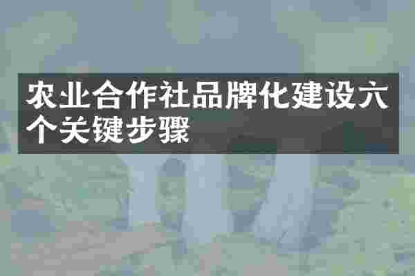 农业合作社品牌化建设六个关键步骤