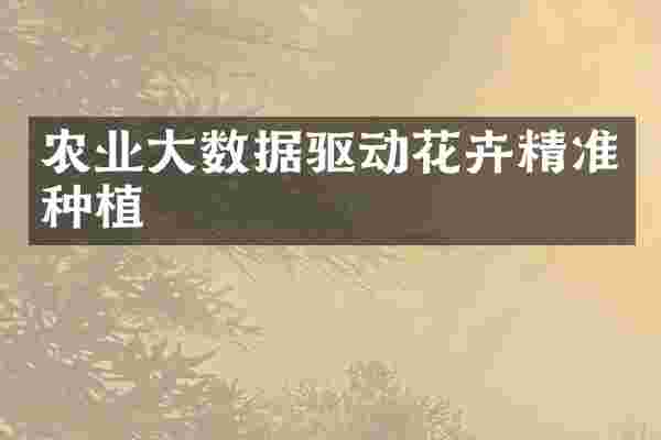 农业大数据驱动花卉精准种植