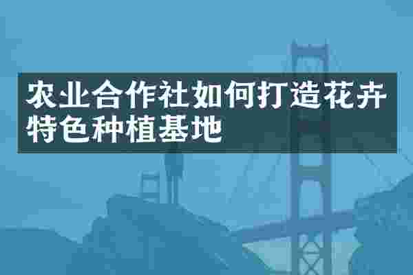 农业合作社如何打造花卉特色种植基地
