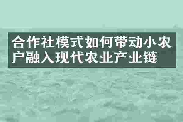 合作社模式如何带动小农户融入现代农业产业链