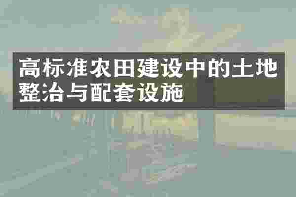 高标准农田建设中的土地整治与配套设施