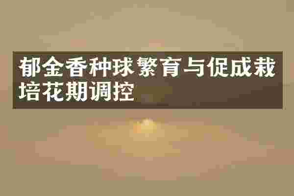 郁金香种球繁育与促成栽培花期调控