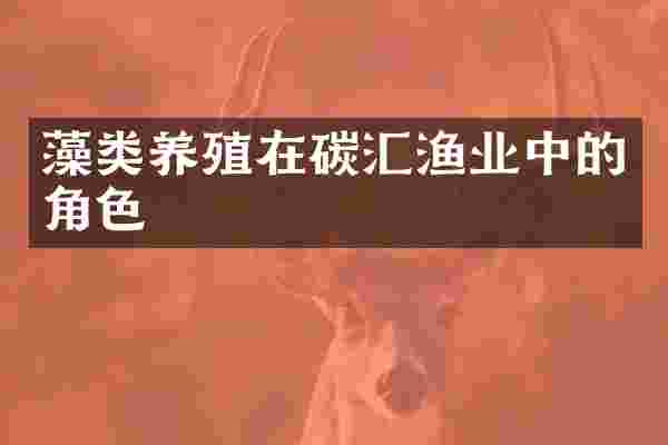 藻类养殖在碳汇渔业中的角色