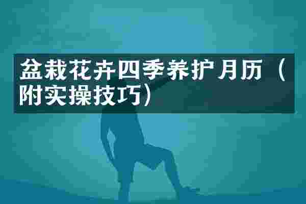 盆栽花卉四季养护月历（附实操技巧）