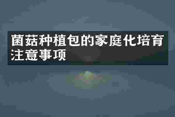 菌菇种植包的家庭化培育注意事项
