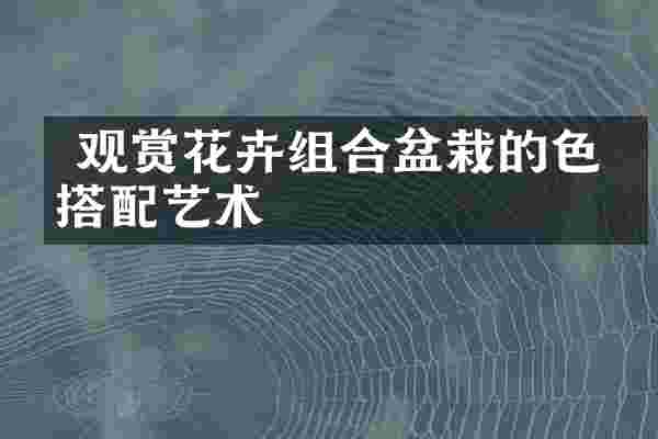  观赏花卉组合盆栽的色彩搭配艺术