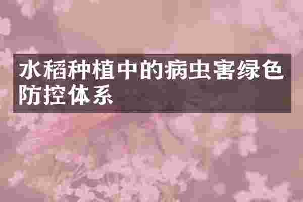 水稻种植中的病虫害绿色防控体系